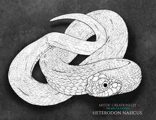 Western Hognose "Twix" - Colouring Page. $5 CAD